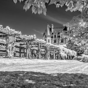 The Biltmore Estate South Terrace IR Fine Art Print