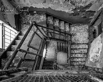 Trans Allegheny Lunatic Asylum Fine Art Print "The Stairwell"