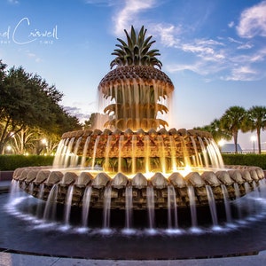 Charleston Pineapple Fountain Fine Art Photographic Print