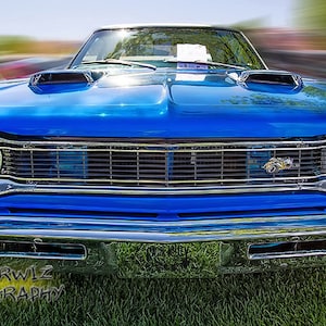1969 Dodge Coronet Superbee &quot;Buzz Buzz&quot; Fine Art Photographic Print