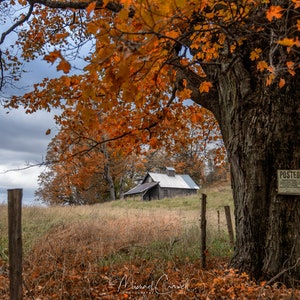 Vermont Maple Syrup Sugar Shack &quot;Sugar Shack&quot; Fine Art Print