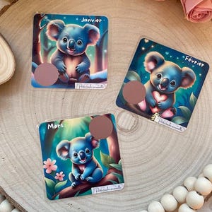 Défi Épargne Koala | 12 Cartes Plastifiées à Gratter | Économisez 150 à 250e | Challenge Mensuel Budget | Méthode Enveloppes | Fait Main