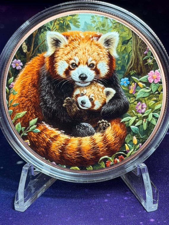 5oz Red Pandas Colorized Copper Round