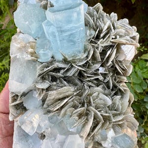 Presenting You Beautiful Well Terminated Aquamarine Crystal Bunch with Muscovite Mica Specimen From Nagar Pakistan