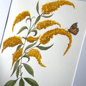 Monarch Butterfly Watercolor Painting: Goldenrod Wildflower Art (8x10)