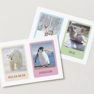 90 tarjetas didácticas de animales realistas - Tarjetas Montessori imprimibles de animales en inglés - Tarjetas didácticas de vida silvestre para niños pequeños