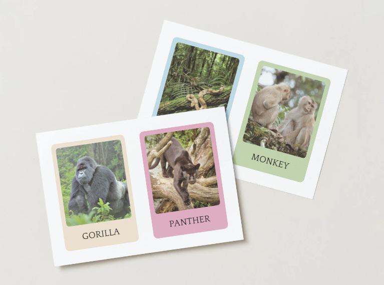 90 Realistic Animal Flashcards - Montessori Printable Animal Cards in ...