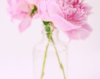 PEONIES - Digital File Download