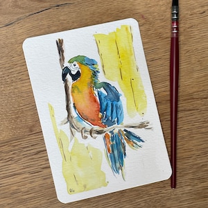 Postkarte Papagei, Aquarellkarte Druck, Karte A6, Grußkarte, Geburtstagskarte, Aquarellbild, Tierbild, Exklusive Druckkarte mit Aquarell