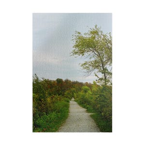 Film Photography Puzzle - "Blurred Lines"