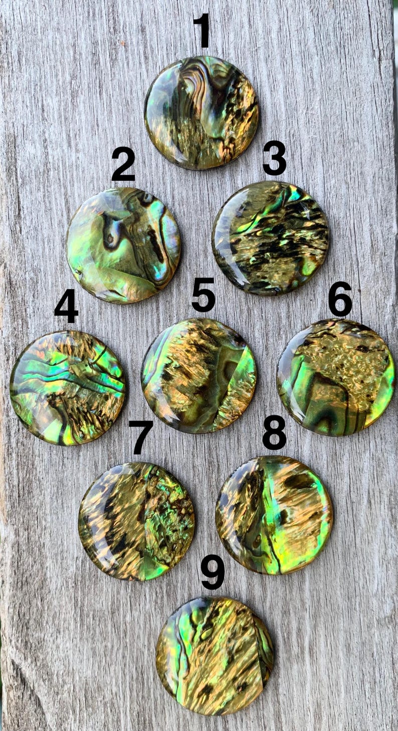 Gold Green Pink Round Paua Abalone Shell Elegant Sterling Silver Ring ...