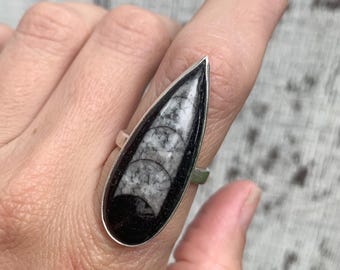 Unique Rocker Statement Teardrop Orthoceras Fossil Skeleton  Sterling Silver Ring | Edgy Ring | Skeleton Ring | Size 8.5-9.5