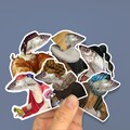Sticker Pack - set of 6 /Waterproof Vinyl Sticker /Trinket Collector /Fish Lover / Cute Stickers/ herring illustrations / Herring Print product logo