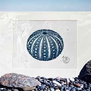 May include: A dark blue linocut print of a sea urchin shell centred on a white mat board. The print features a detailed radial pattern of the urchin's texture, with a small circular artist signature stamp in the bottom right corner of the paper.