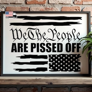 We The People Are Pissed Off Poster: Pro-Democracy Resistance Wall Art
