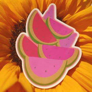 Hot Pink Wassermelone Vinyl Sticker – Illustration, Kunst, Sommer, Frucht, Wassermelone, Aufkleber
