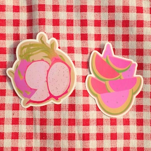 Set of 2 vinyl stickers: Dragon Fruit & Watermelon Vinyl Sticker – Illustration, Art, Summer, Fruit, Dragon Fruit, Watermelon, Sticker