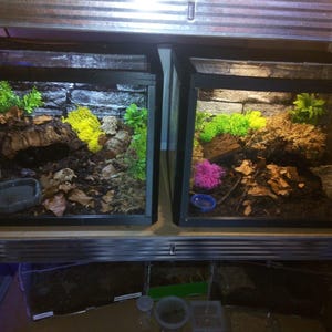 3D Vivarium for Isopods, Spiders &amp; Scorpions – growout , Vented, Sliding Door (25×30×25cm)