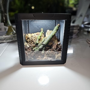 3d-printed Isopod Display Vivarium – Flat-pack With Ventilation  and  Light Option