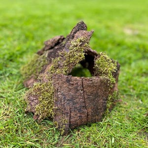 May include: A close-up of a natural, brown, moss-covered log with a hollowed-out opening. The log is sitting on a bed of green grass.