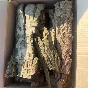 May include: A cardboard box filled with pieces of brown bark, which is a natural material used in crafts and gardening.