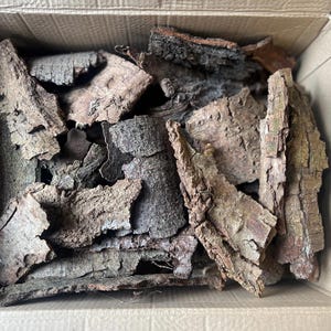 May include: A cardboard box containing pieces of cork bark. The bark pieces are of various sizes and shapes, displaying a mix of light brown, dark brown, and grey hues. The bark's texture appears rough and natural.