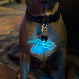 Personalized LED Dog Tag/LED Changes up to 7 Colors/Rechargeable USB Cord Included!