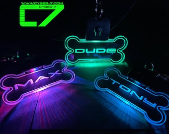 Personalized LED Dog Tag/Pup Charm/Raver/USB Rechargeable