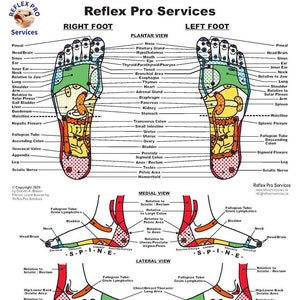 Voetentabel voetreflexologie | Professionele Reflex Pro-footchart | Afdrukbare pdf van 8,5 x 11 inch