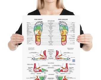 French Reflexology Foot Chart - Premium Luster Photo Paper