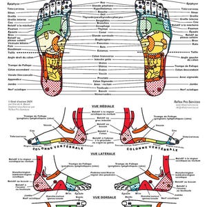 Carte professionnelle de réflexologie plantaire en format PDF – Téléchargement instantané – Usage clinique et décoratif pour les thérapeutes