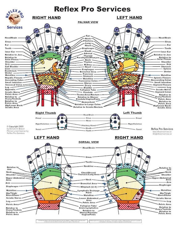 Hand Neutralisation Chart.pdf Printable Hand Reflexology Chart Reflexology Maps: Hand, Foot & Ear
