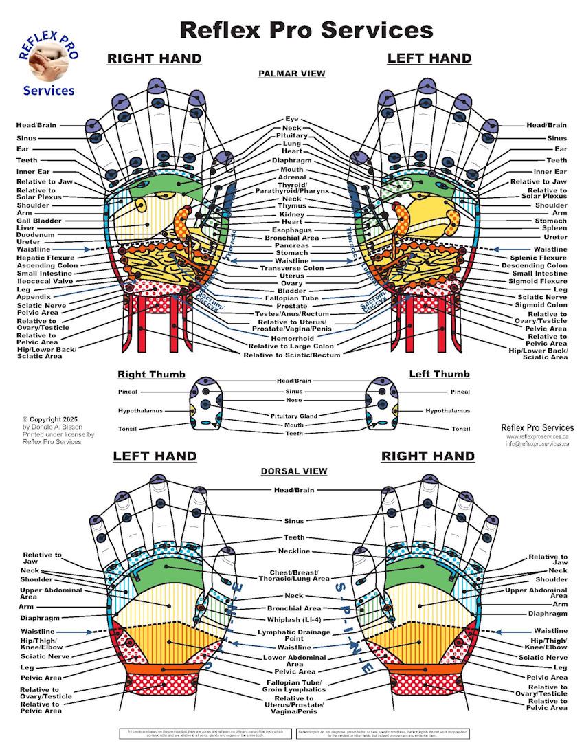 Reflexology Hand Map.pdf Reflexology Hand Chart PDF โ Instant Download โ Clinical + Decorative ...