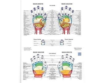 French Reflexology Hand Chart Poster | Enhanced Matte Paper | 5 Sizes