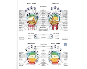 Reflexology Hand Chart Poster | Enhanced Matte Paper | 5 Sizes