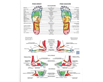 French Reflexology Foot Chart Poster | Enhanced Matte Paper | 5 Sizes