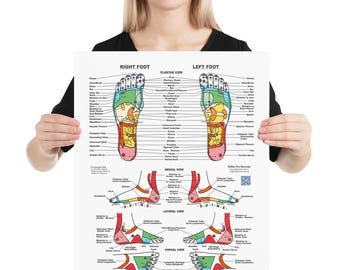 Reflexology Foot Chart - Premium Luster Photo Paper Poster