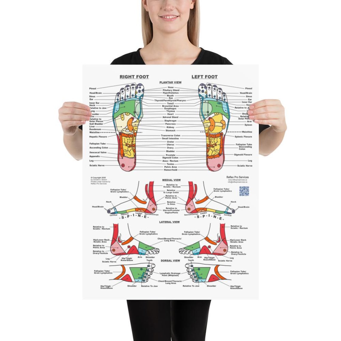 reflexology-foot-chart-poster-enhanced-matte-paper-5-sizes-etsy