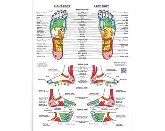 Reflexology Foot Chart Poster | Enhanced Matte Paper | 5 Sizes