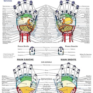 Carte professionnelle de réflexologie des mains en format PDF – Téléchargement instantané – Usage clinique et décoratif pour les thérapeutes