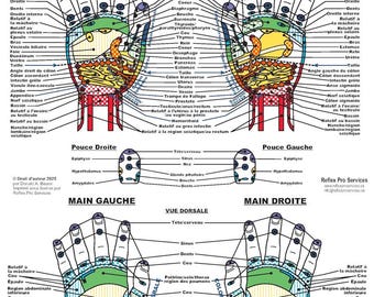 French Hand Reflexology Chart: Professional Reference Guide (PDF Download)