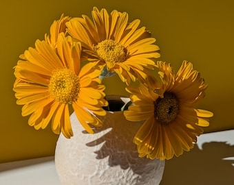 Mondvase – kleine weiße Keramikvase mit Porzellan-Slip, handgemacht, 7,5 cm | Minimalistisch & einzigartig | Geschenkidee | Budvase