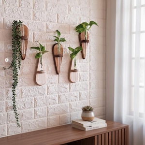 Estación de propagación de pared de madera con tubo de vidrio / Maceta de abeto de 10 x 25 cm / Acabado en roble y nogal