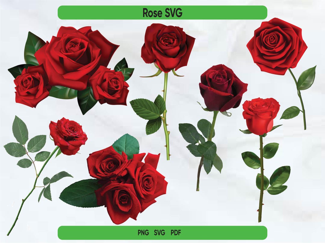 Svg Mini Roses Roses, Rose Svg,flower Roses, Rose Svg Laser, Rose Svg Cricut, Rose ...