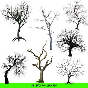 May include: A collection of seven bare tree illustrations in various styles. The trees are depicted in shades of black, gray, and brown, with intricate branch structures. The image includes the text "AI SVG PNG JPG PDF" at the bottom.