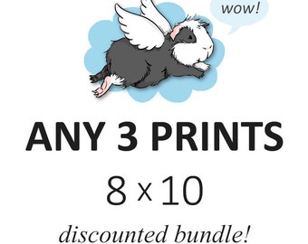 DISCOUNTED SET - you choose any three 8 x 10 prints - cute guinea pig art custom set of 3