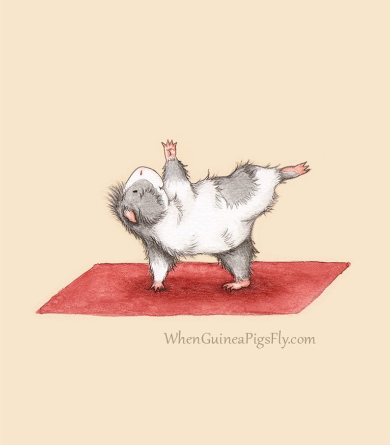 Guinea Pig Yoga Half Moon 8x10 Yoguineas Collection Cute Yoga Art Print image 1