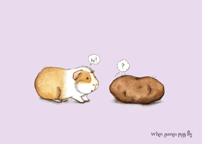 Meerschweine-DatierungRock n Roll-Singles datiert