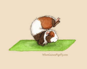 Scorpion Pose 11x14 - Cute Guinea Pig Yoga Art Print - the Yoguineas Collection