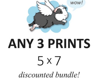 DISCOUNTED SET - you choose any three 5 x 7 prints - cute guinea pig art custom set of 3, listing